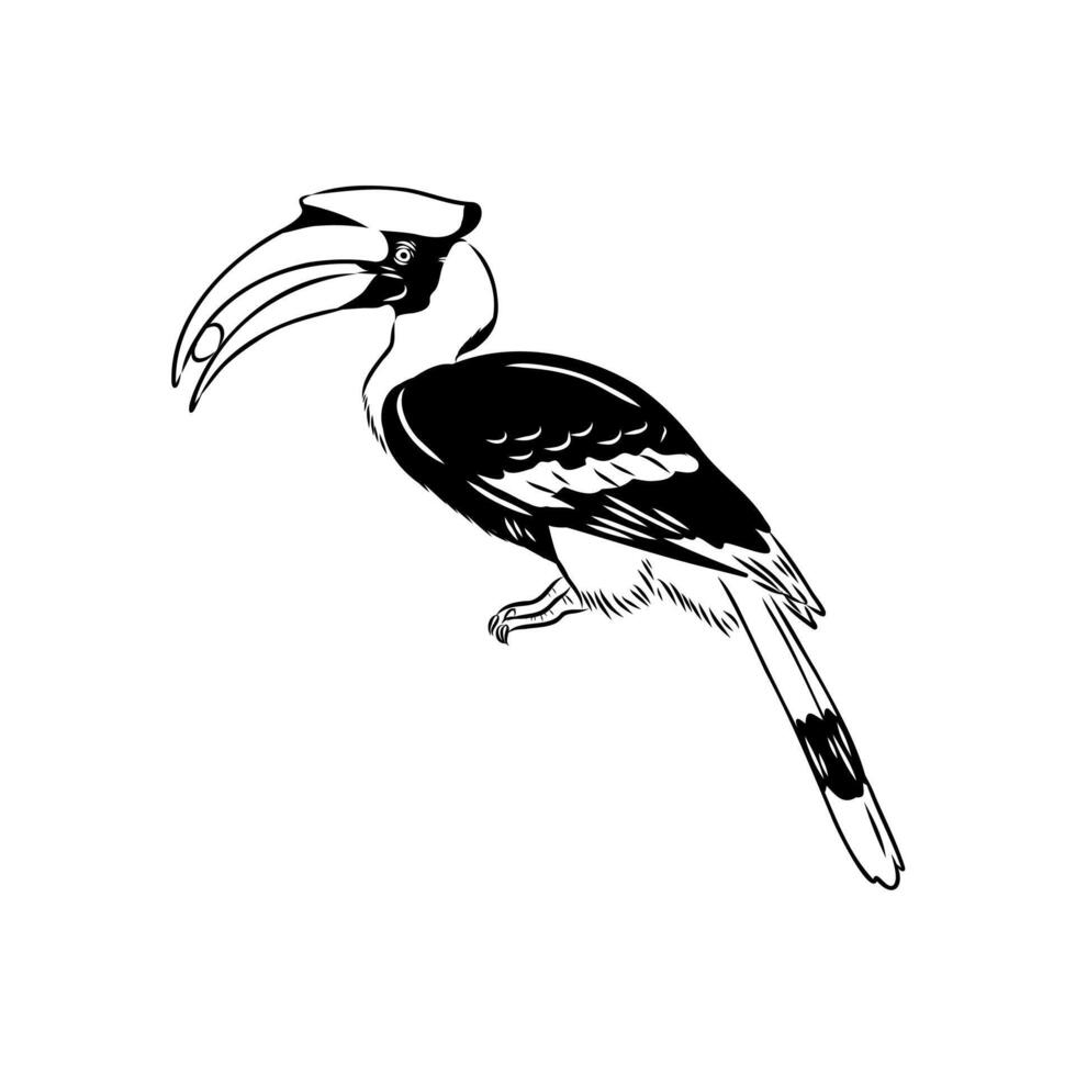 rhinoceros bird black and white drawing vector