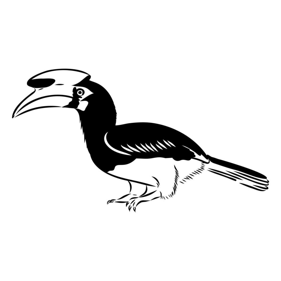 Wild rhino bird drawing vector