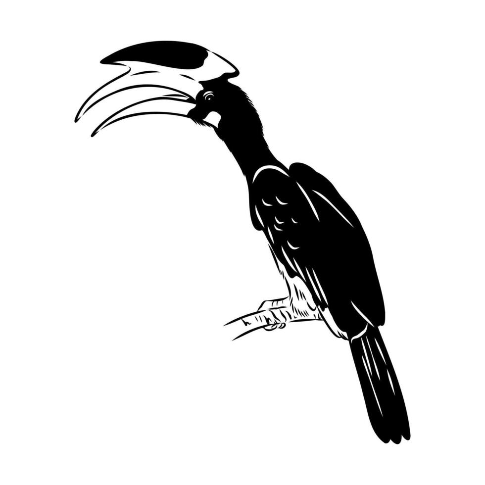large rhinoceros bird black and white drawing vector