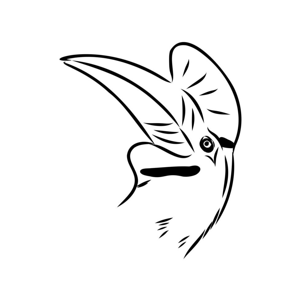 rhino bird head hand sketch vector