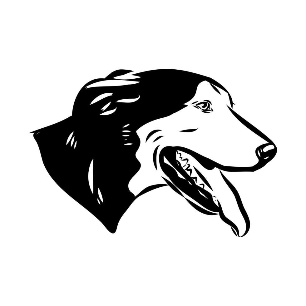 New Zealand Shepherd dog head sketch vector