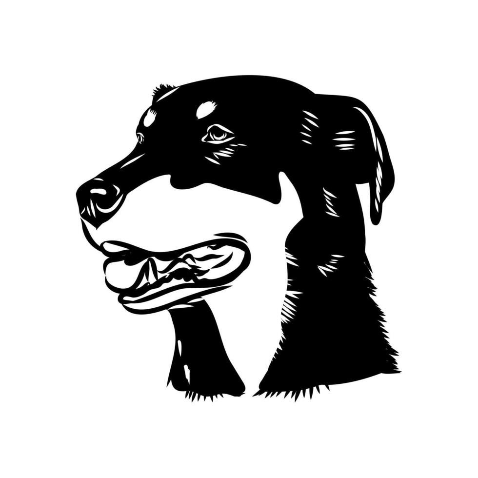Huntway dog New Zealand shepherd sketch vector