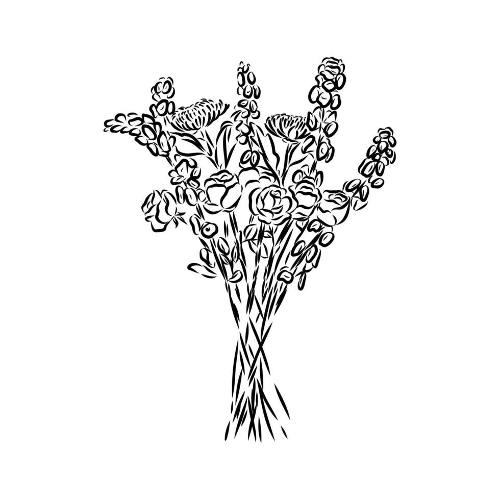bouquet of flowers black and white drawing vector