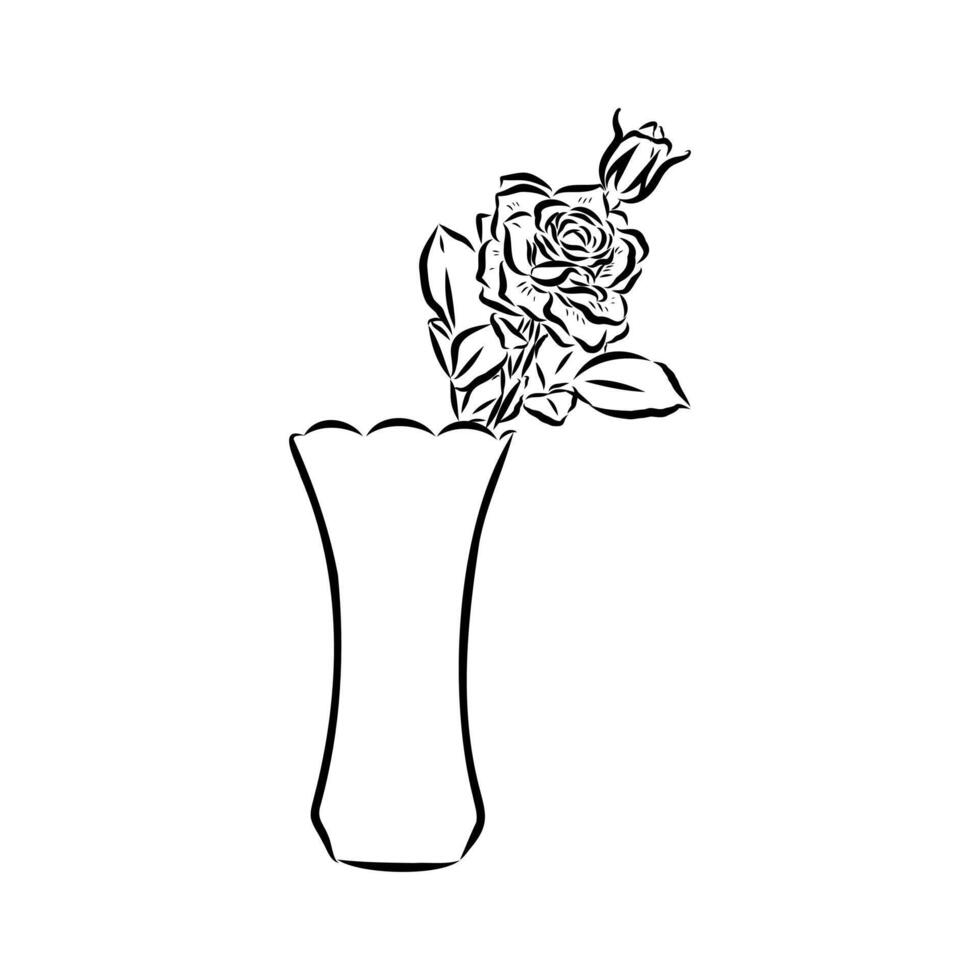 vase with a flower drawing vector