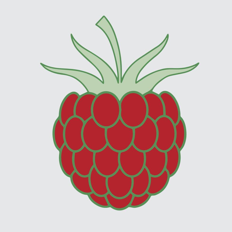 Organic Blackberry Bunch High-Resolution Image vector