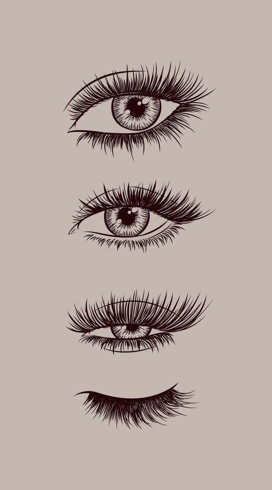Eyes and eyelash collection drawing in graphic art style on beige background vector