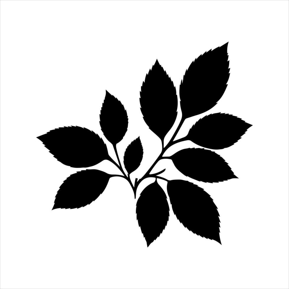 black and white silhouette of leaves on a white background vector