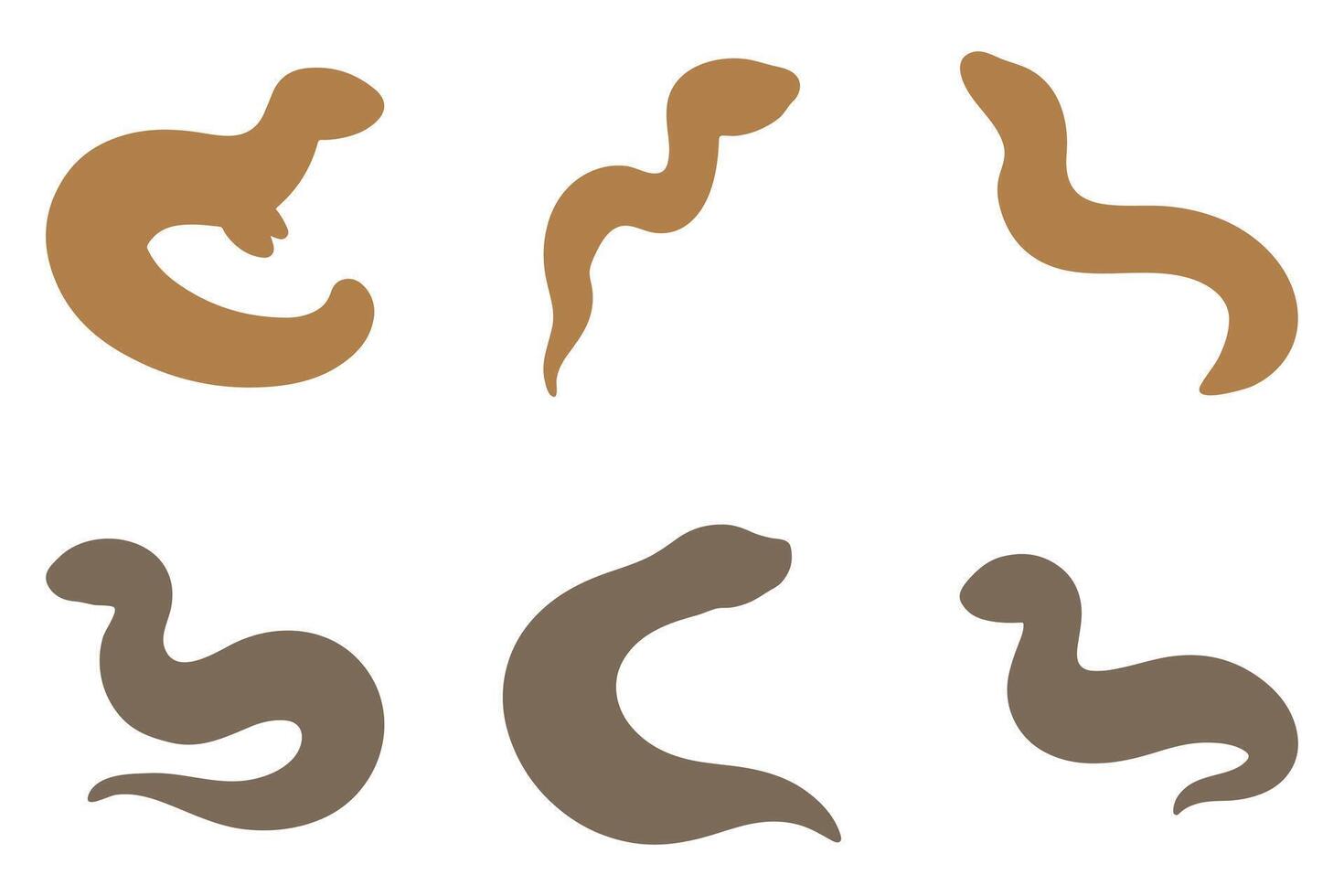 Simple Amphiuma Illustration vector