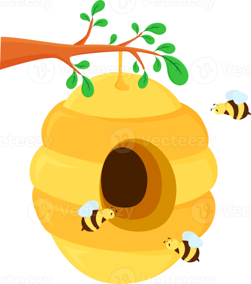 honey bee hive nature or honeycomb and Cute cartoon bee and sweet honey on branch tree png