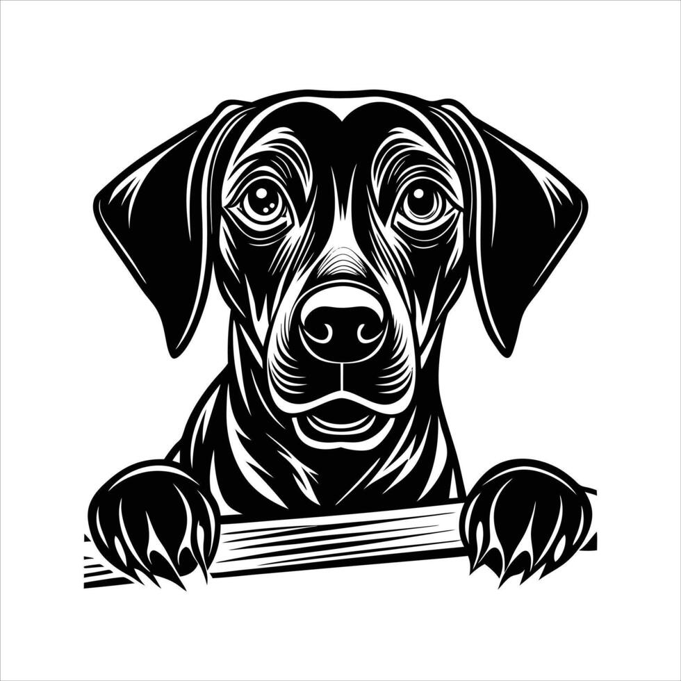Bold And Dignified Graphic Illustration vector