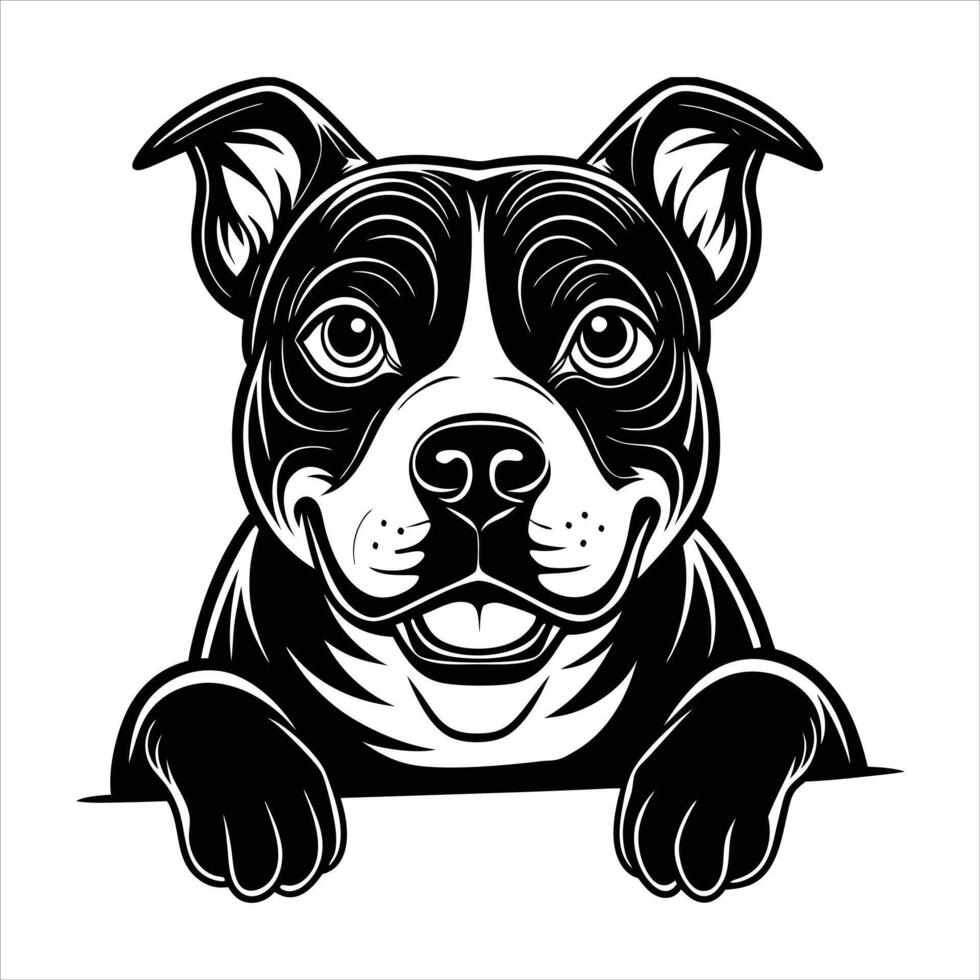 AmStaff Dog A Happy American vector