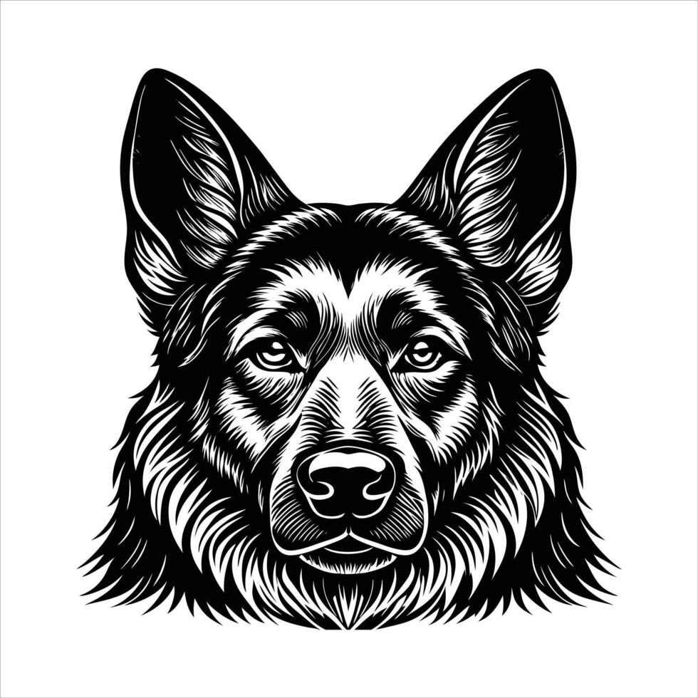 Dog Breed Poster vector