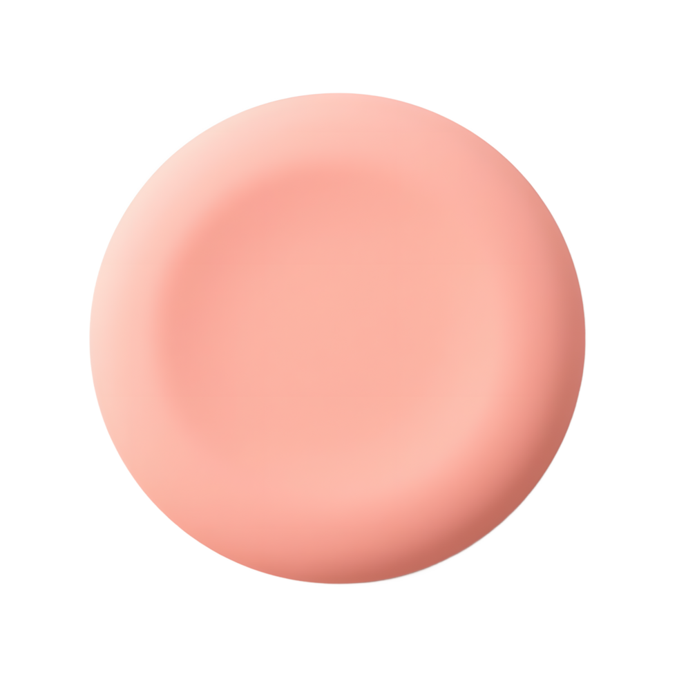 Coral Pink Round Plate Studio Shot Product Photography png