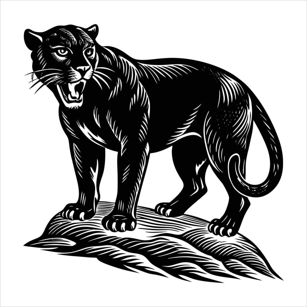 Wild panther on rock vector