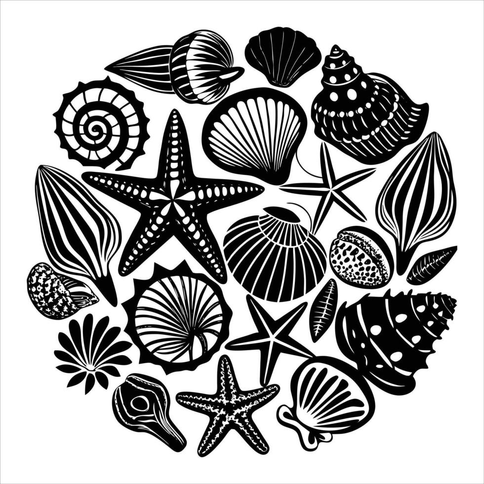 Starfish Seashell Collection vector
