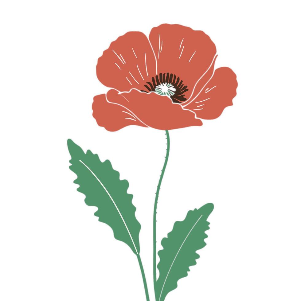 Illustration of a red colored poppy flower that has two green leaves vector