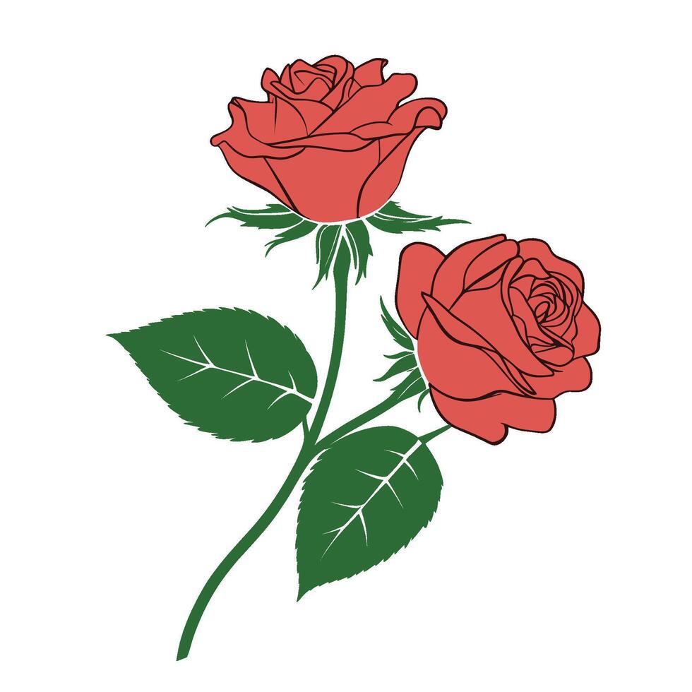 A bouquet of red roses with some green leaves vector