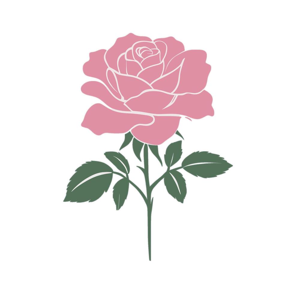 Pink roses that have many leaves vector