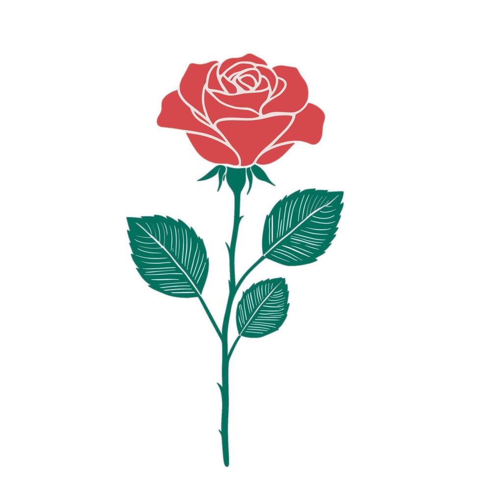 Hand Drawn Red Rose With Green Stem And Leaves vector