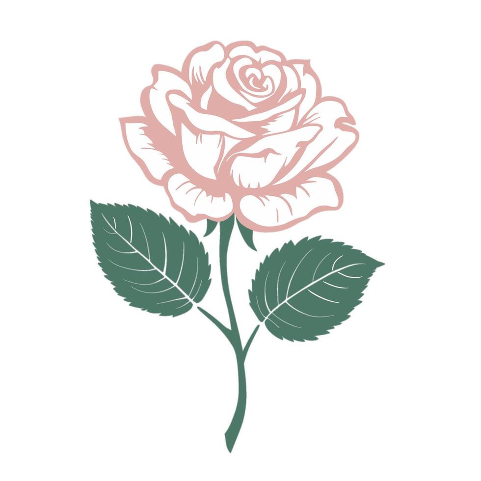 a sprig of roses with two green leaves on the stem vector