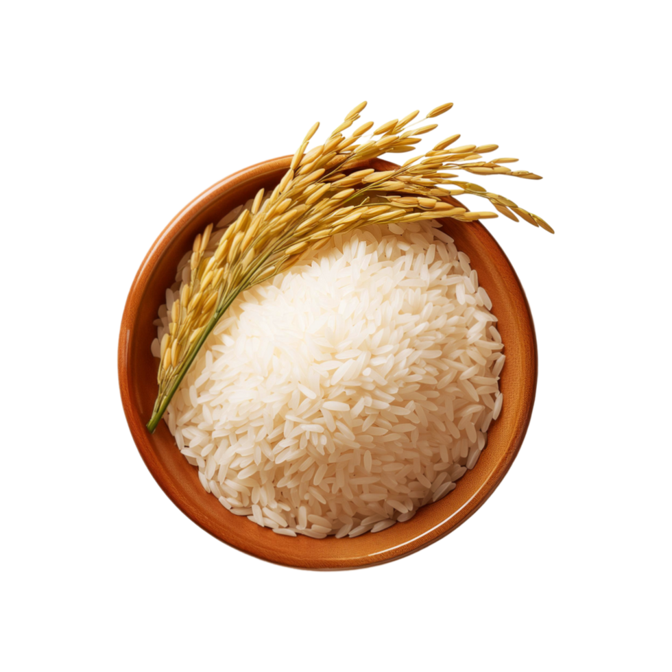 Top view of rice bowl with rice plant bunch on transparent background png