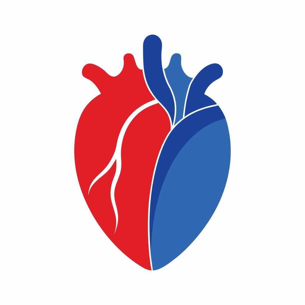 An image of a heart with two different colors vector