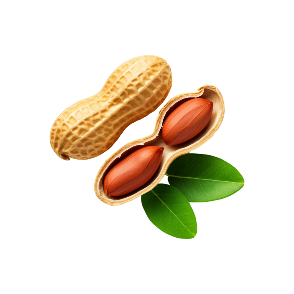 Whole and sliced peanut with leaf isolated on transparent background png