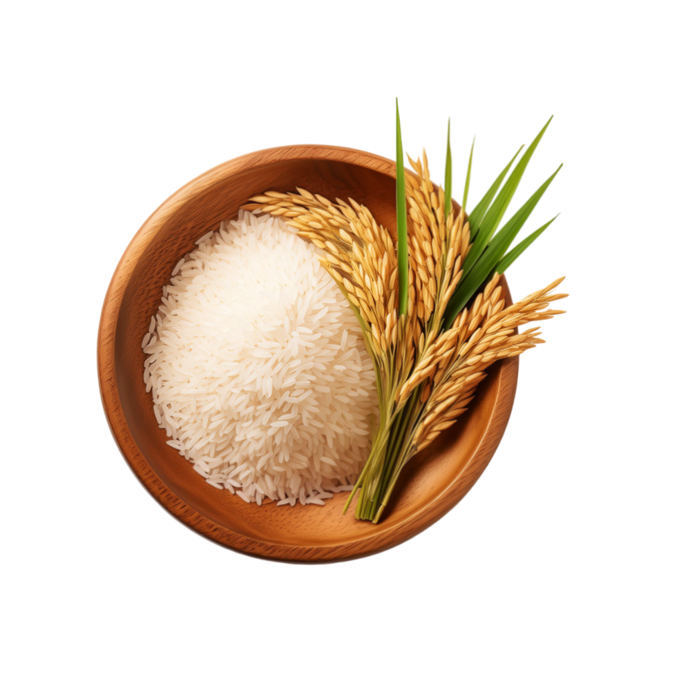 Bowl of rice with rice plant branch isolated on transparent background png