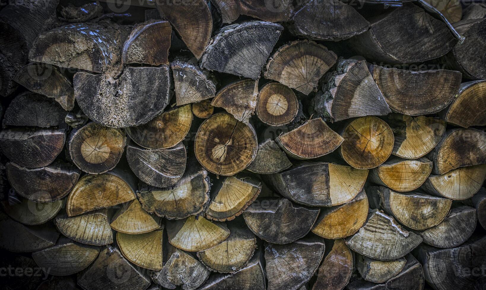 A pile of stacked chopped wood ready for winter photo