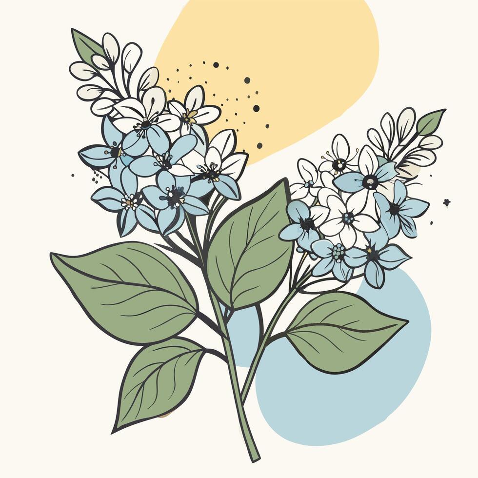 Blue and white lilac flowers with green leaves and abstract background vector