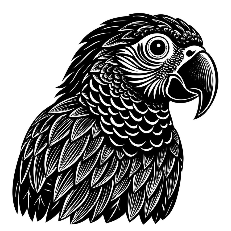 Black and White Parrot Illustration with Intricate Feather Design vector