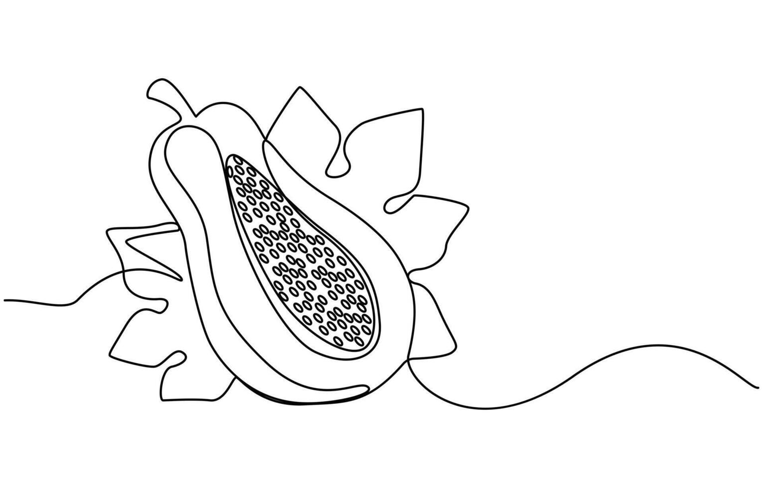 papaya one line art vector