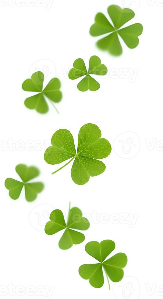 Fresh shamrock leaves scattered dynamically on a clean white background. Lucky green clovers drifting down, representing good fortune photo