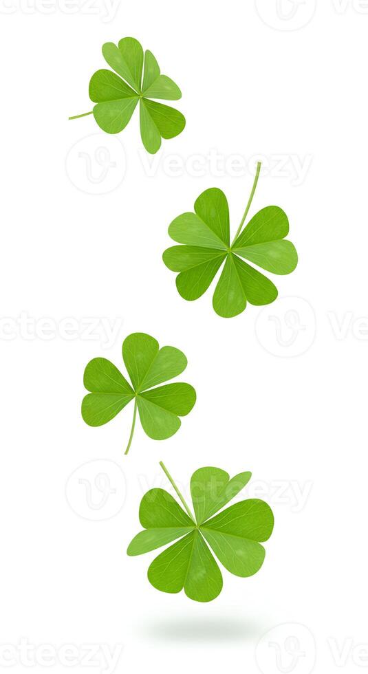 Four leaf clovers falling down on white background. Green shamrocks floating in mid-air, symbolizing luck and prosperity. Fresh shamrock leaves scattered dynamically on a clean white background photo