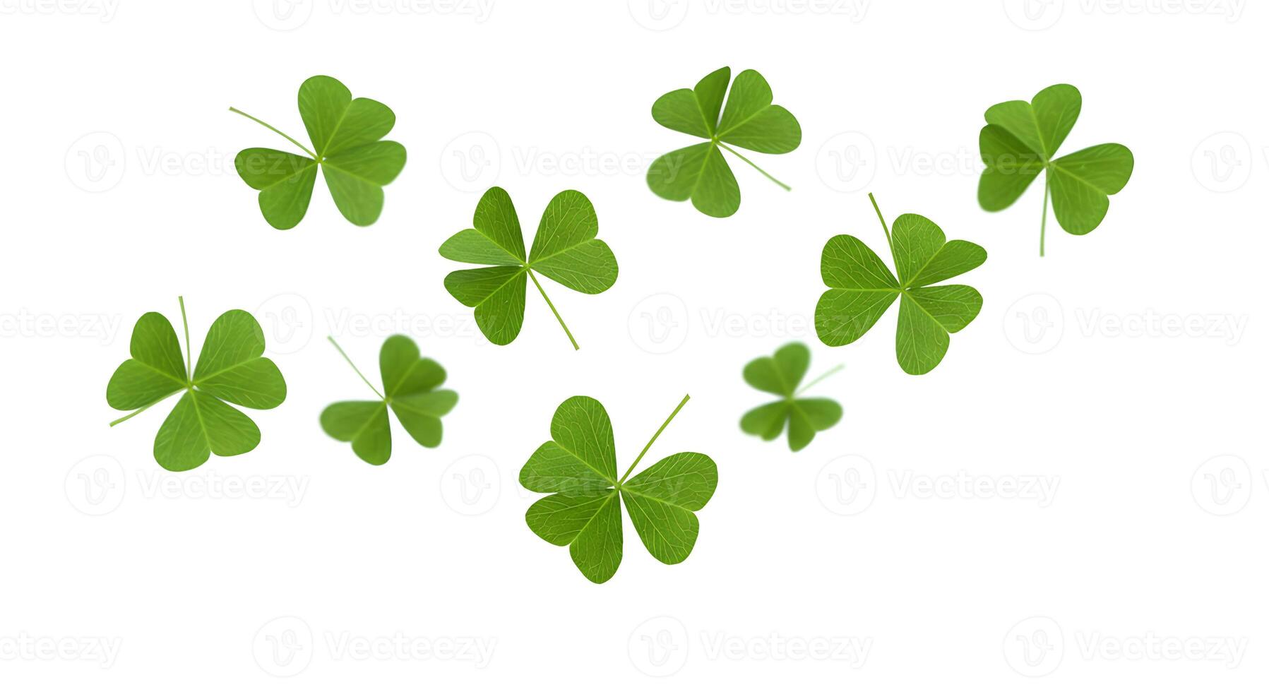 Four leaf clovers falling down on white background. Green shamrocks floating in mid-air, symbolizing luck and prosperity photo