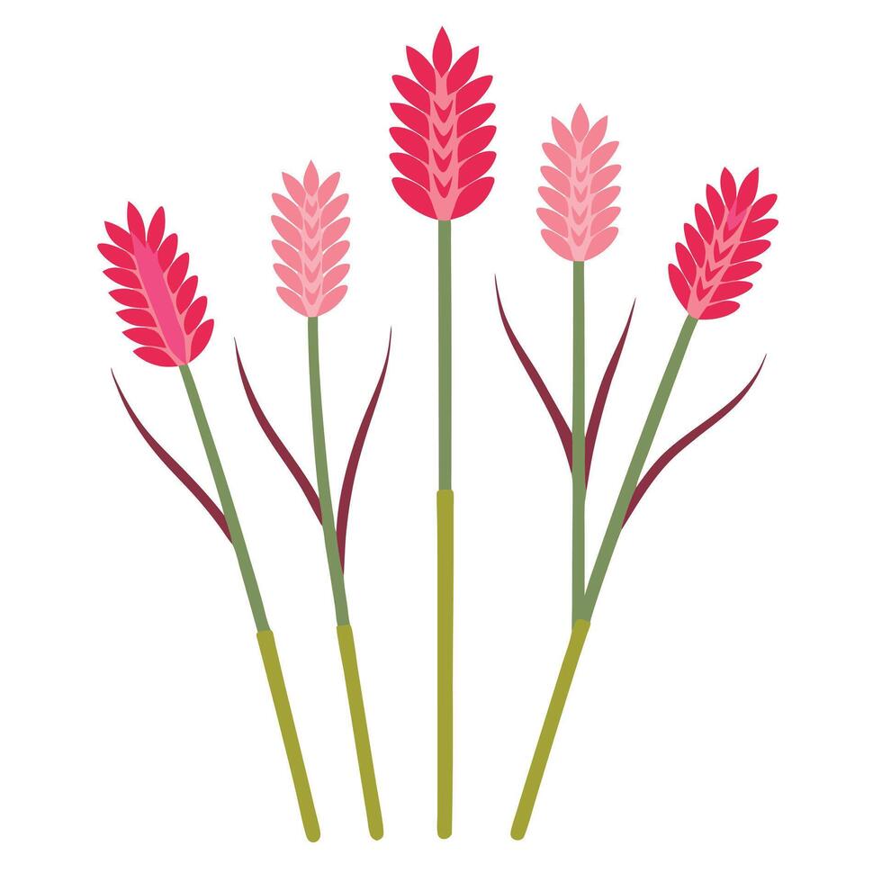A group of pink flowers on a white background vector