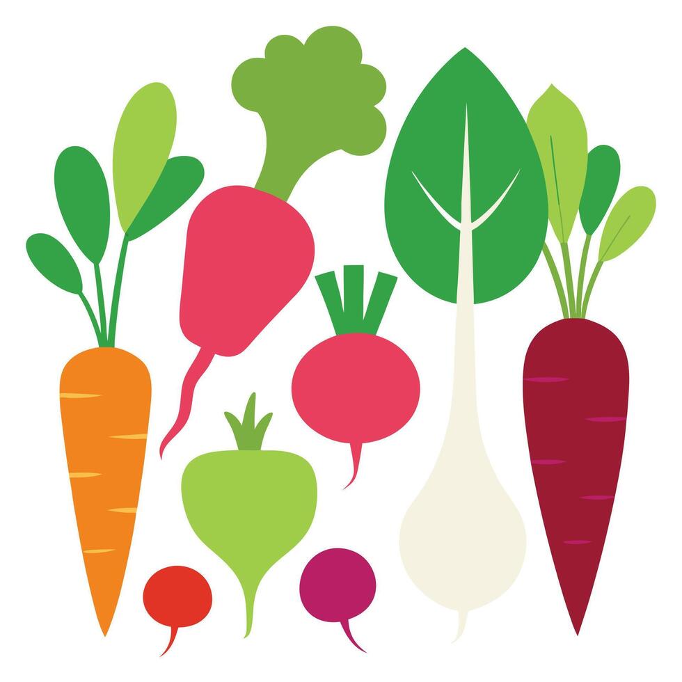 fresh vegetables design on a white background vector