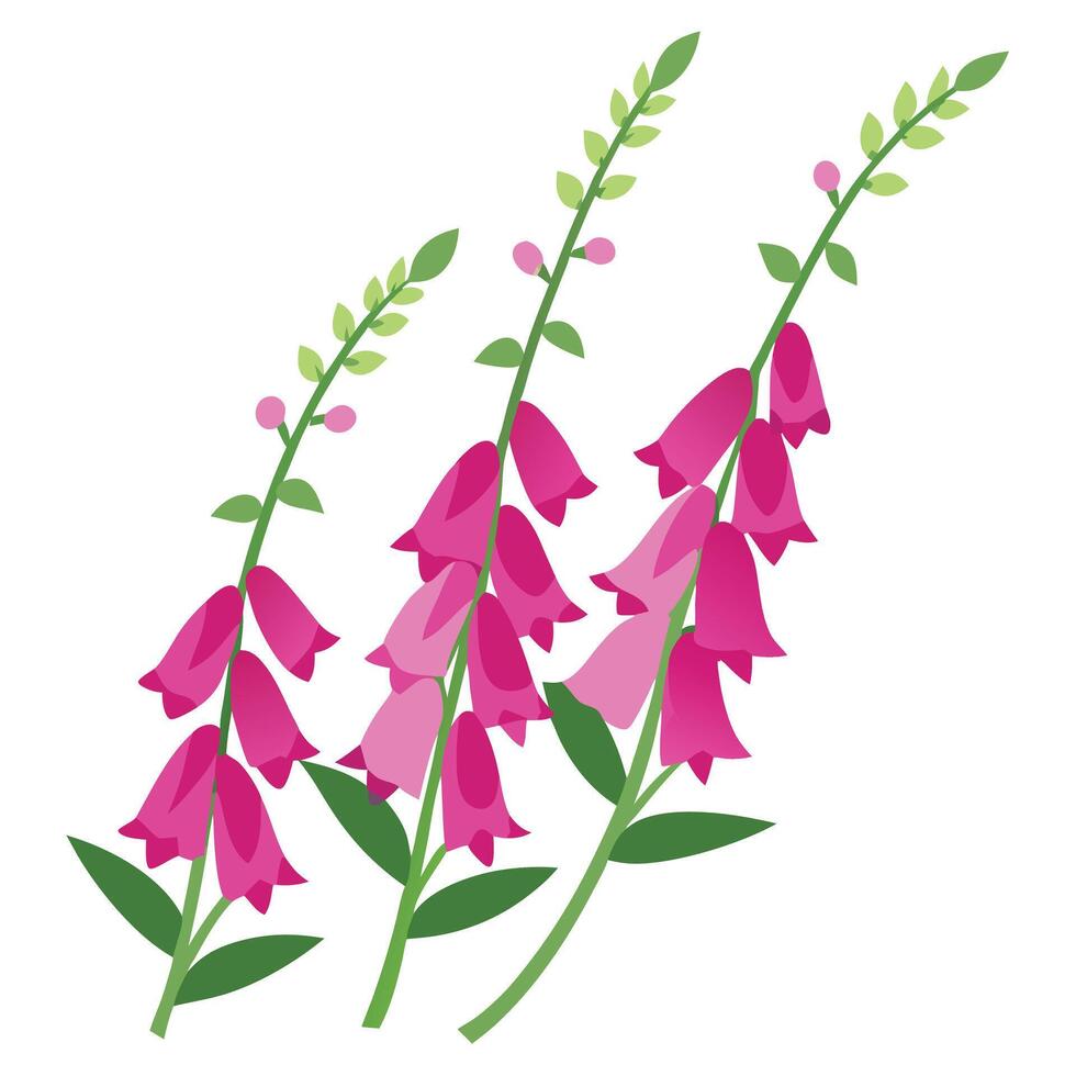 Pink flowers on a white background vector