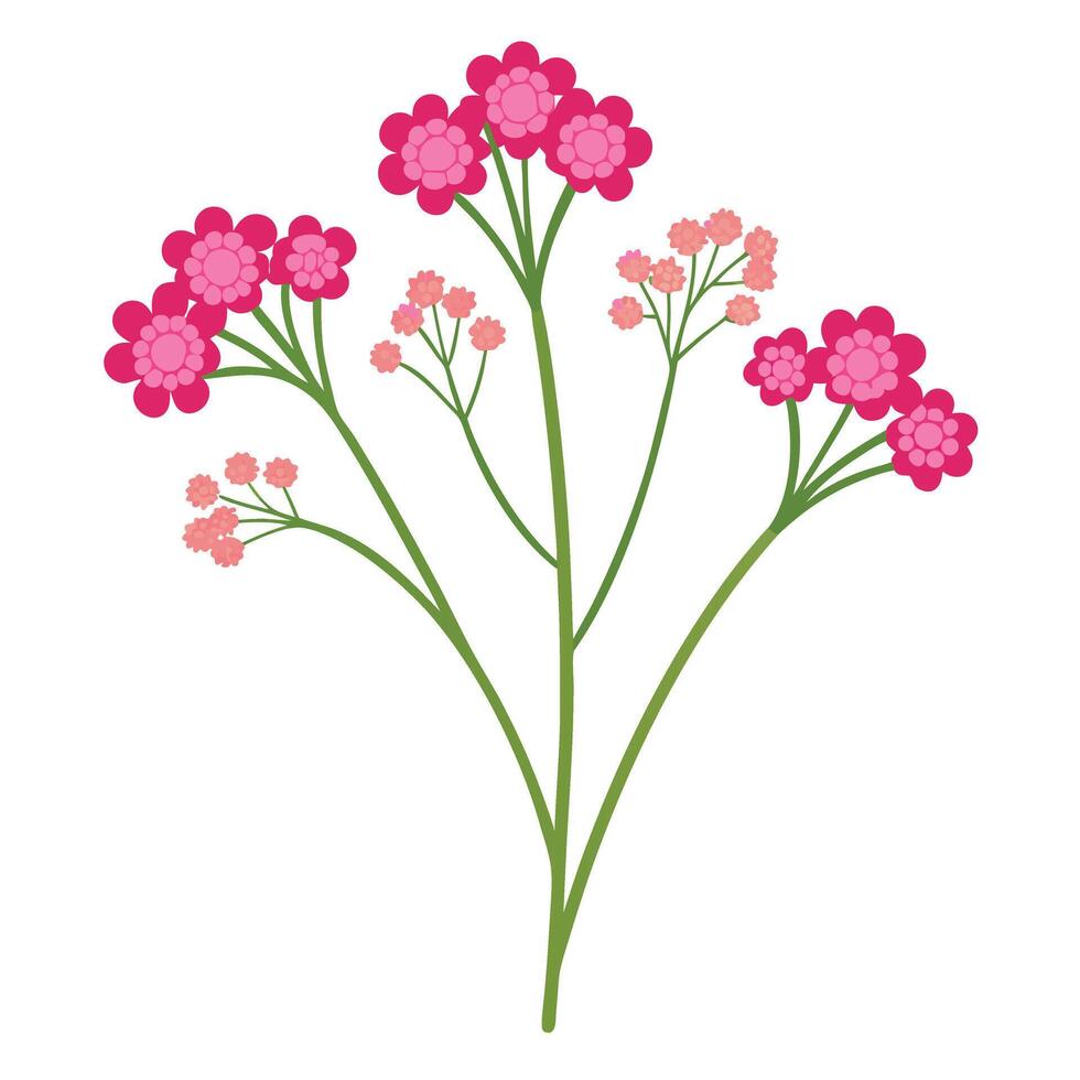 A pink flower with green leaves on a white background vector