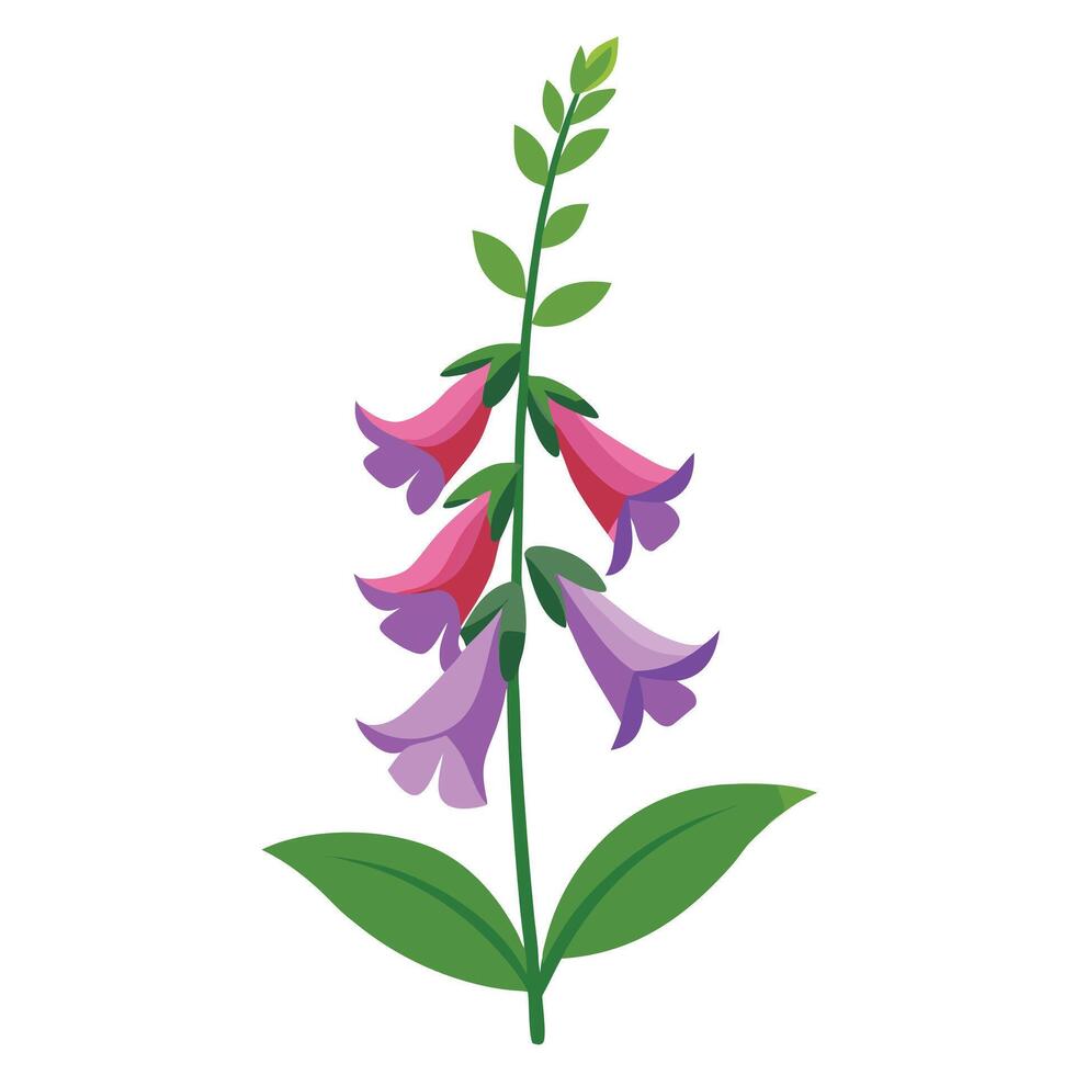 A flower with purple and pink flowers on a white background vector