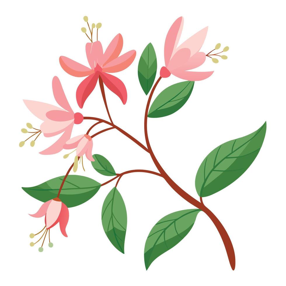 Pink flowers on a branch vector