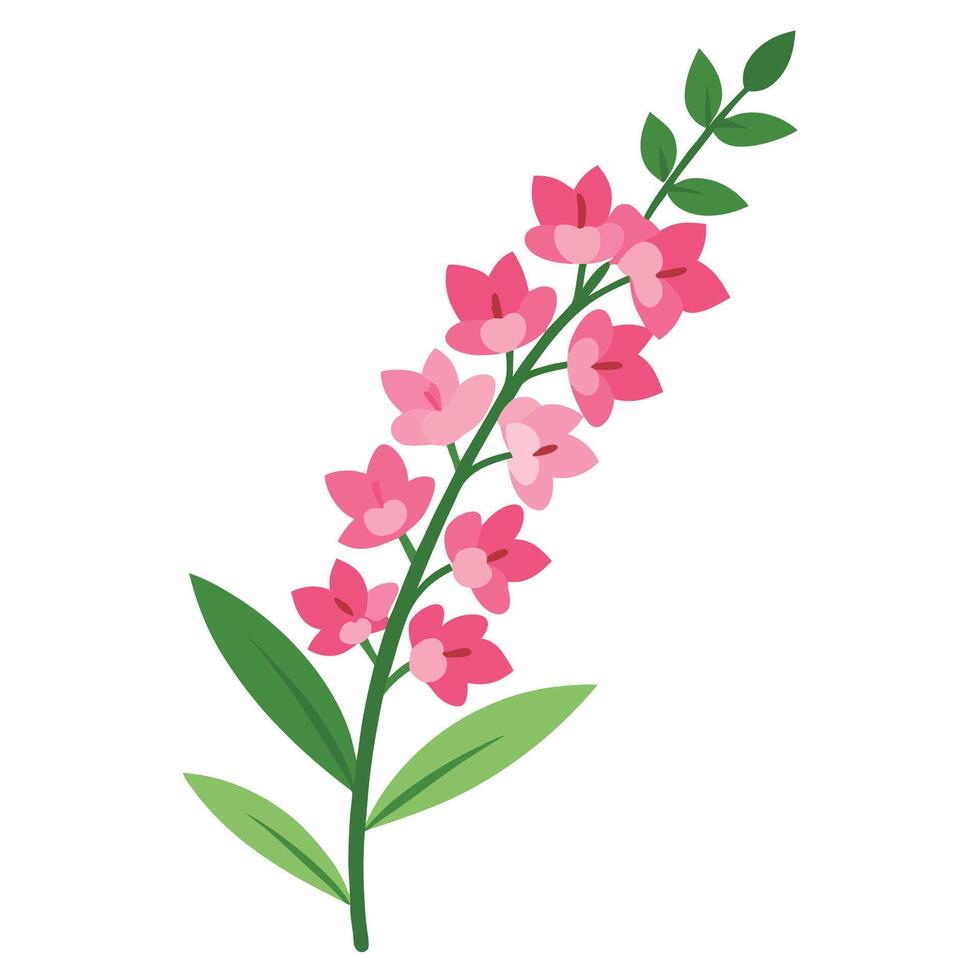 A pink flower with green leaves on a white background vector
