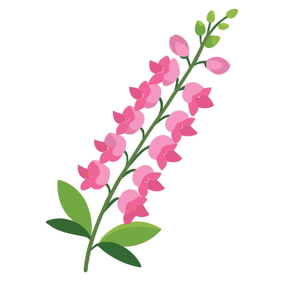 Pink flowers on a white background vector