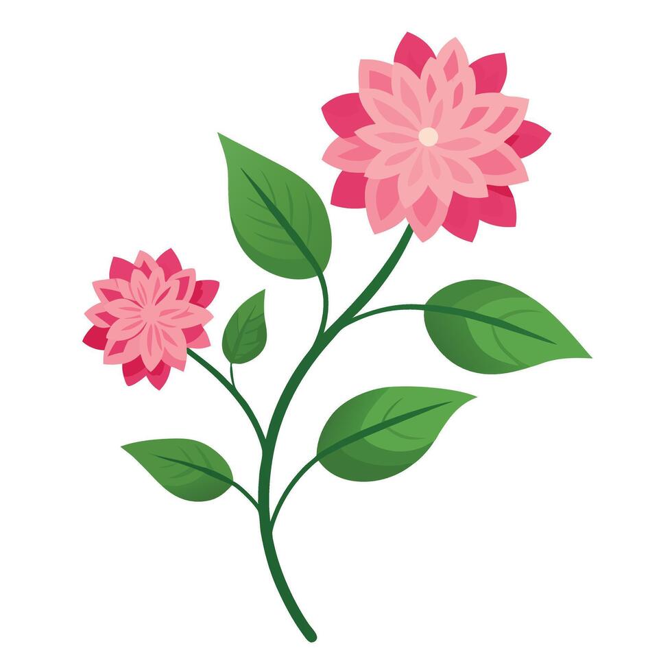 Pink flowers with leaves on a white background vector