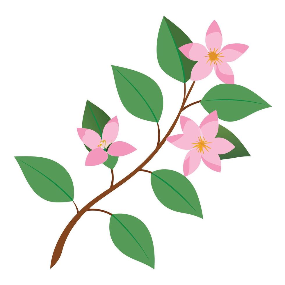 A branch with pink flowers and leaves vector