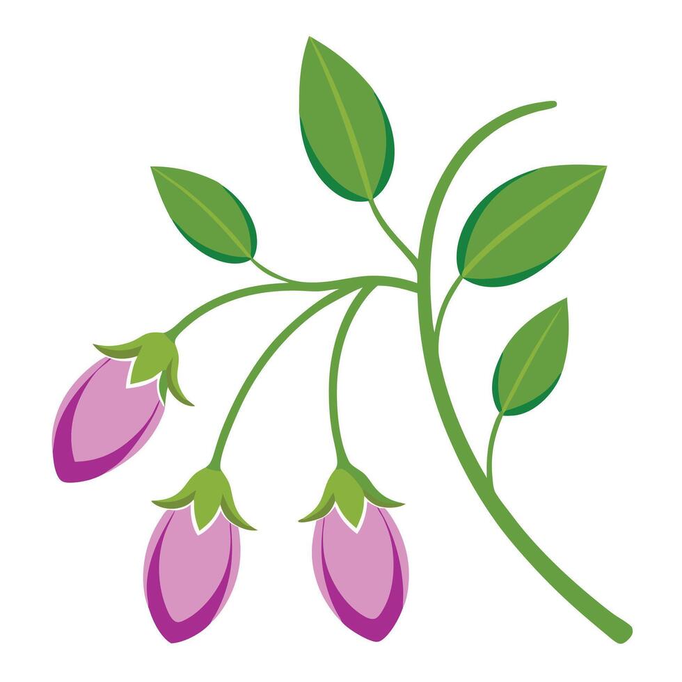 A purple flower with green leaves on a white background vector