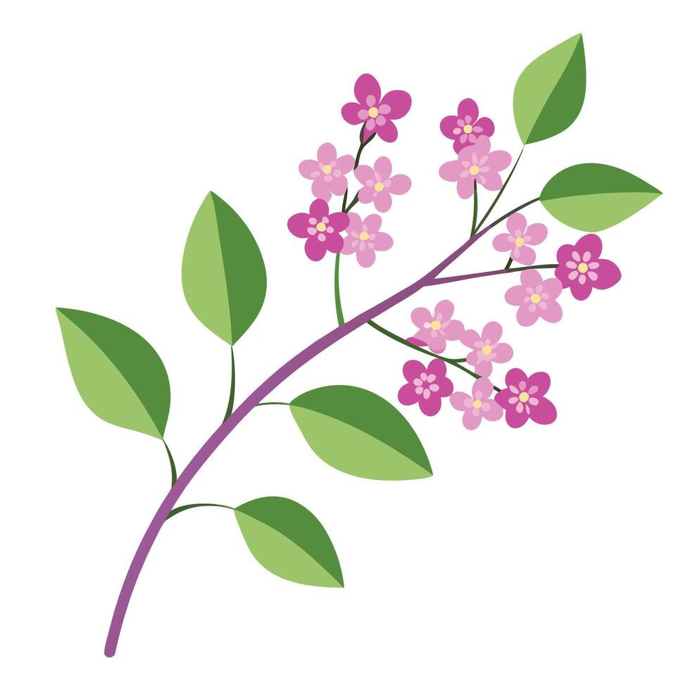 A branch with pink flowers and green leaves vector