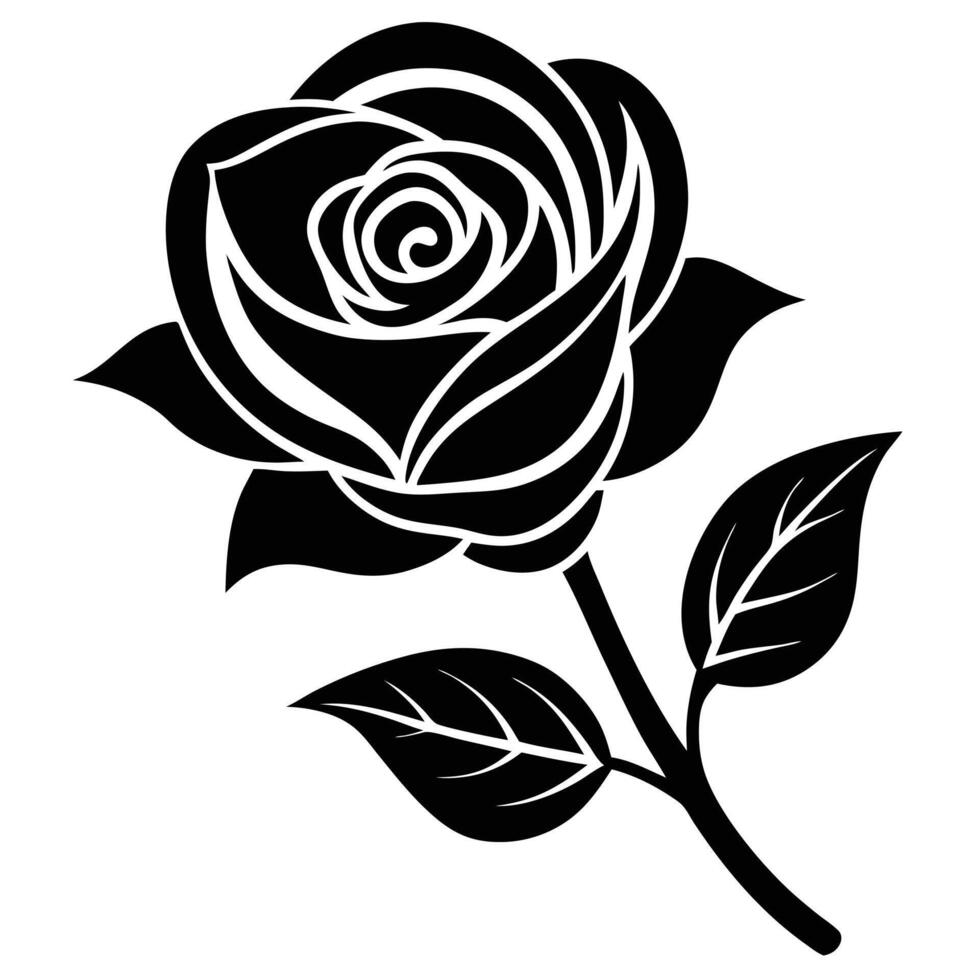 black rose illustration vector