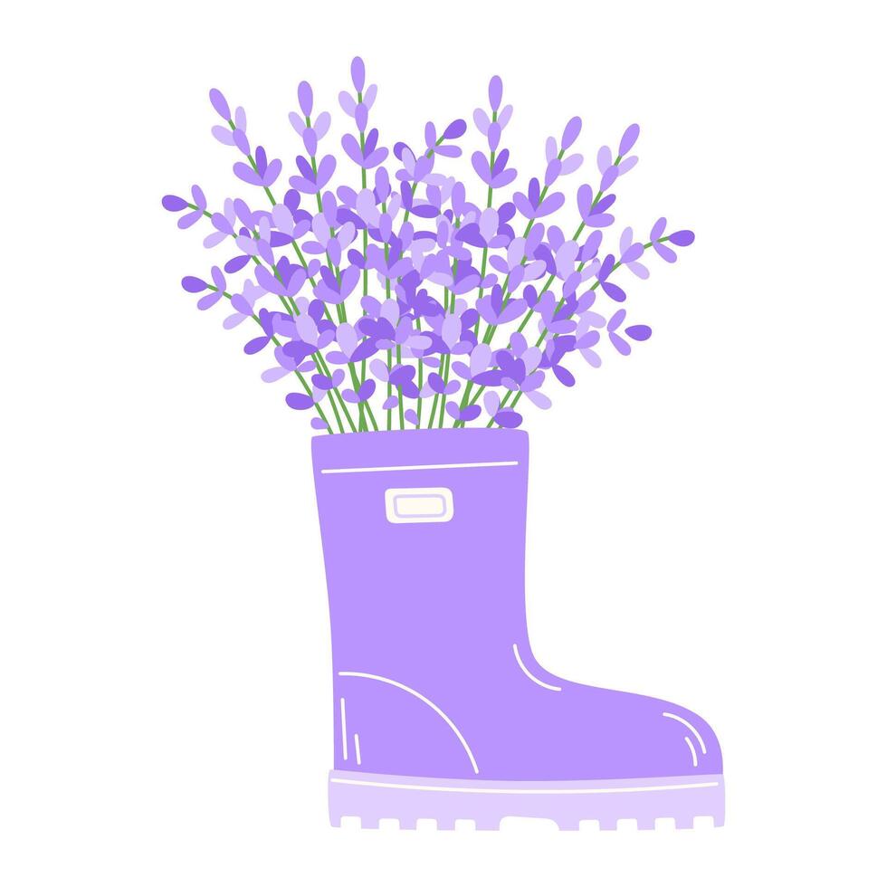 Lavender bouquet in a purple rubber boot vector