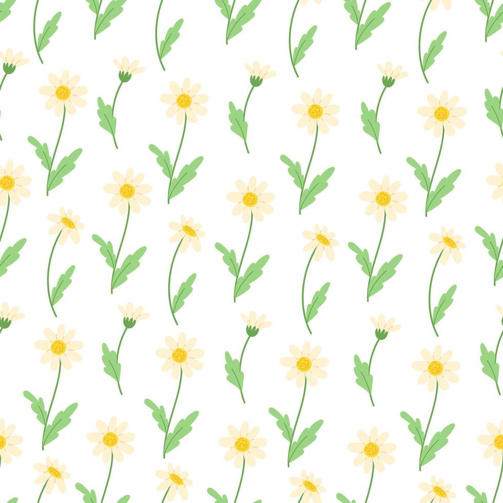 Seamless Pattern of White Daisies with Green Leaves on a White Background vector